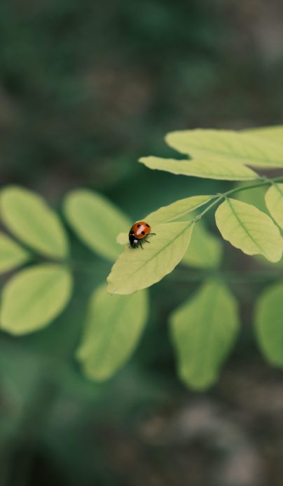 kseniia stepanenko zngqfub3gwu unsplash